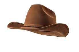 Cowboy